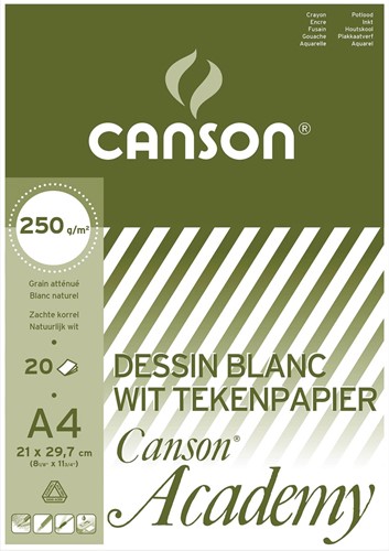 Canson papier à dessin Academy, 250 g, ft 21 x 29,7 cm, A4, bloc de 20 feuilles
