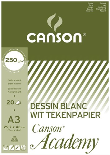 Canson papier à dessin Academy, 250 g, ft 29,7 x 42 cm, A3, bloc de 20 feuilles