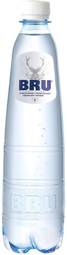 Bru lichtsprankelend water, fles van 50 cl, pak van 24 stuks
