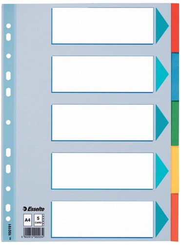Esselte tabbladen, voor ft A4, uit karton, 5 tabs, geassorteerde kleuren
