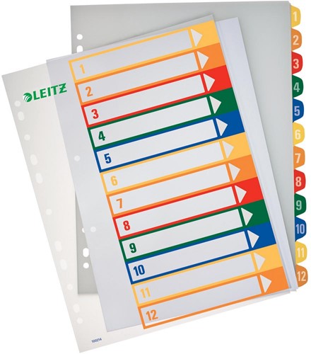 Leitz PC printbare Project Indexen 12 tabs 1 Set