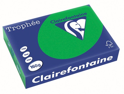 Clairefontaine Trophée Intens, gekleurd papier, A4, 160 g, 250 vel, bijartgroen
