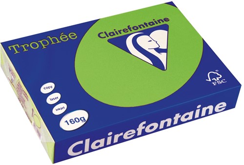 Clairefontaine Trophée Intens, gekleurd papier, A4, 160 g, 250 vel, grasgroen
