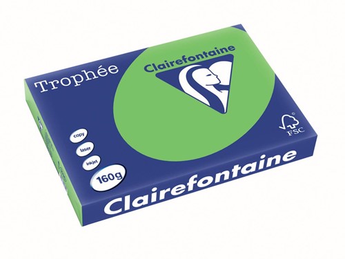 Clairefontaine Trophée Intens, papier couleur, A3, 160 g, 250 feuilles, vert herbe