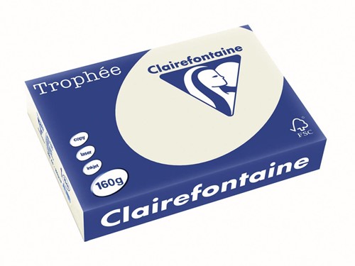 Clairefontaine Trophée Pastel, gekleurd papier, A4, 160 g, 250 vel, parelgrijs