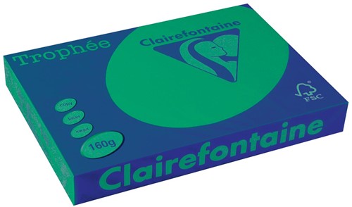Clairefontaine Trophée Intens, gekleurd papier, A3, 160 g, 250 vel, dennengroen
