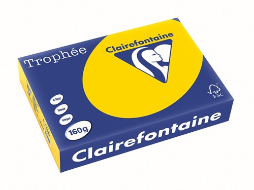 Clairefontaine Trophée Pastel, papier couleur, A4, 160 g, 250 feuilles, bouton d'or