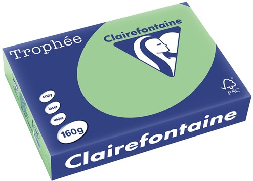 Clairefontaine Trophée Pastel, papier couleur, A4, 160 g, 250 feuilles, vert nature