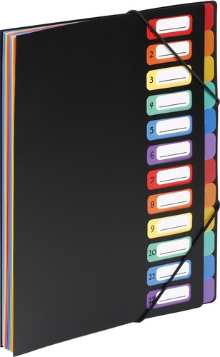 Viquel Rainbow Class classeur-trieur, ft A4, avec 12 compartiments