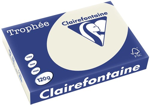 Clairefontaine Trophée Pastel, gekleurd papier, A4, 120 g, 250 vel, parelgrijs
