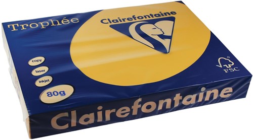 Clairefontaine Trophée Pastel, gekleurd papier, A3, 80 g, 500 vel, goudgeel