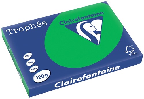 Clairefontaine Trophée Intens, gekleurd papier, A3, 120 g, 250 vel, bijartgroen