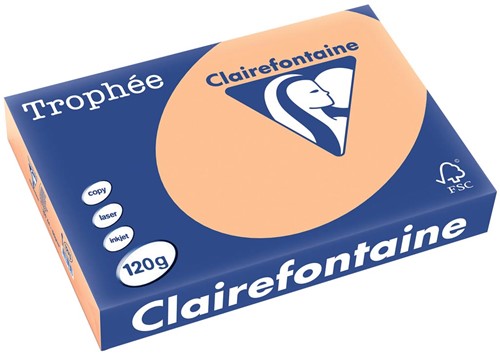 Clairefontaine Trophée Pastel, gekleurd papier, A4, 120 g, 250 vel, abrikoos