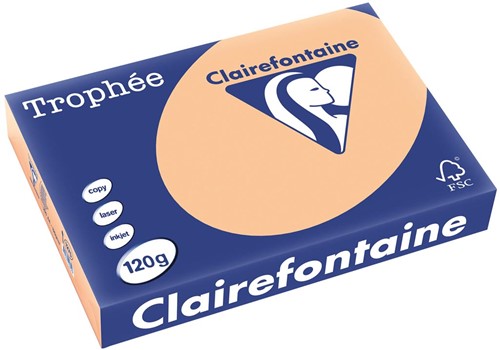 Clairefontaine Trophée Pastel, gekleurd papier, A4, 120 g, 250 vel, abrikoos
