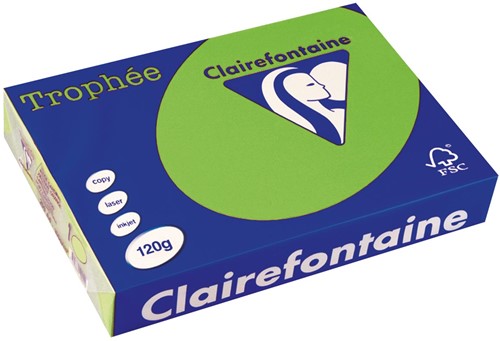 Clairefontaine Trophée Intens, gekleurd papier, A4, 120 g, 250 vel, grasgroen