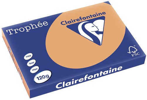 Clairefontaine Trophée Pastel, papier couleur, A3, 120 g, 250 feuilles, caramel