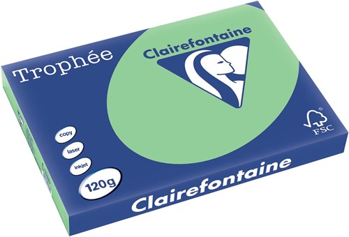 Clairefontaine Trophée Pastel, papier couleur, A3, 120 g, 250 feuilles, vert nature