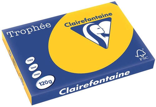 Clairefontaine Trophée Intens, papier couleur, A3, 120 g, 250 feuilles, jaune tournesol