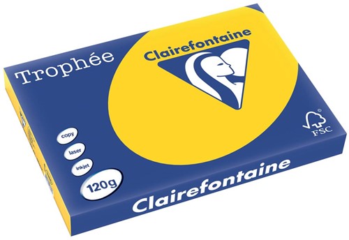 Clairefontaine Trophée Pastel, papier couleur, A3, 120 g, 250 feuilles, bouton d'or