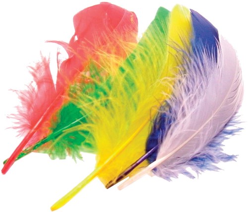 Bouhon plumes 15 cm, 50 pièces