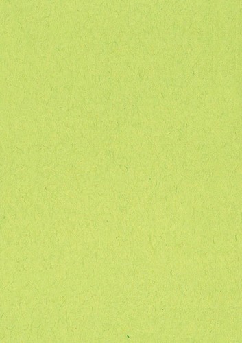 Gekleurd tekenpapier, 120 g, ft 21 x 29,7, A4, lichtgroen, pak van 500 vel