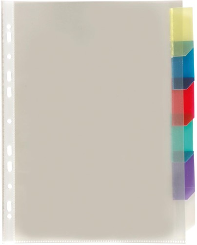 Viquel pochette perforée 6 onglets