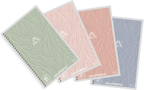 Aurora Writing 80 Design cahier spiralé, ft A6, 120 pages, blanc