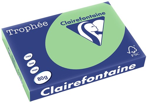 Clairefontaine Trophée Pastel, gekleurd papier, A3, 80 g, 500 vel, natuurgroen