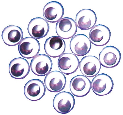 Bouhon yeux mobiles, 12 mm