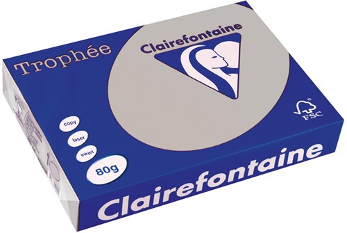 Clairefontaine Trophée gekleurd papier, A4, 80 g, 500 vel, lichtgrijs
