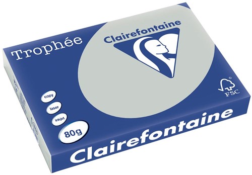 Clairefontaine Trophée Pastel, gekleurd papier, A3, 80 g, 500 vel, lichtgrijs
