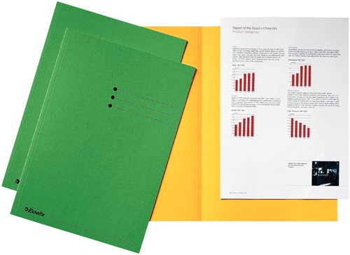 Esselte chemise de classement, vert, carton de 180 g/m², paquet de 100 pièces 1 Stuk
