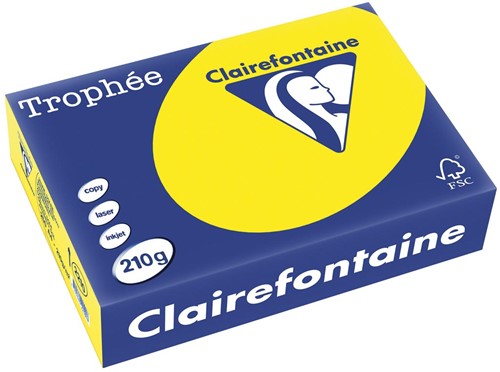 Clairefontaine Trophée Intens, gekleurd papier, A4, 210 g, 250 vel, zonnegeel