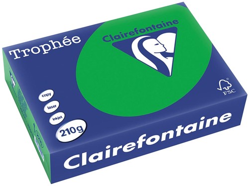 Clairefontaine Trophée Intens, papier couleur, A4, 210 g, 250 feuilles, vert billard