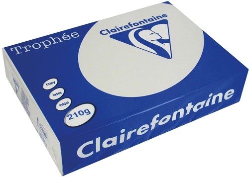 Clairefontaine Trophée Pastel, gekleurd papier, A4, 210 g, 250 vel, lichtgrijs