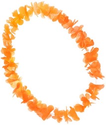 Orange couronne hawiënne