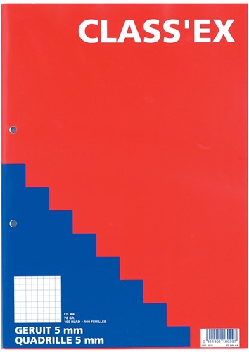 Class'ex cursusblok, geruit 5 mm, blok van 100 vel