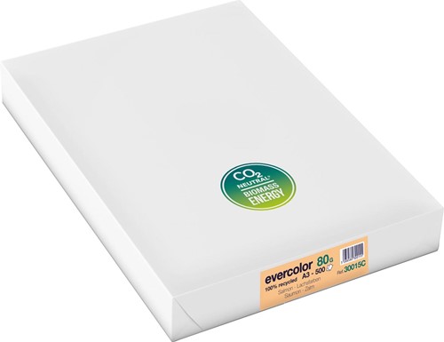 Clairefontaine Evercolor papier couleur recyclé, A3, 80g, 500 feuilles, saumon