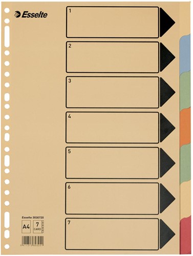 Esselte tabbladen voor ft A4 karton 7 tabs 23 perforatiegaten 1 Stuk