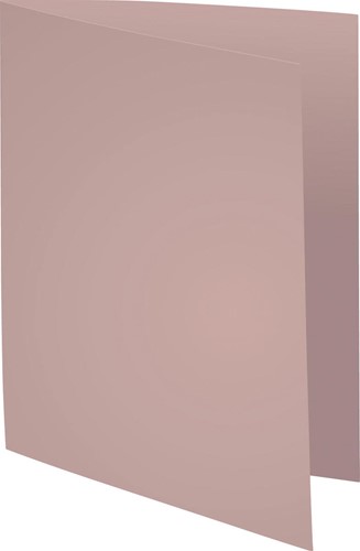 Exacompta chemise Forever 180, ft A4, paquet de 100, gris 100 Stuk