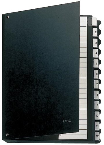 Leitz Trieur 12 cases avec onglets 1-12 1 Stuk