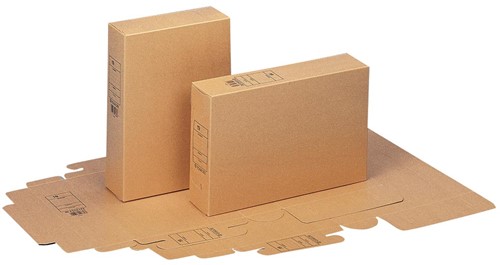 Esselte boîte à archives 1 Stuk