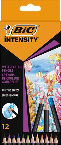 Bic crayon aquarelle Intensity, étui de 12 pièces