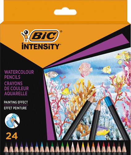 Bic crayon aquarelle Intensity, étui de 24 pièces