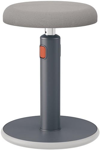 Leitz Ergo Cosy actieve Zit/Sta kruk, grijs 1 Stuk