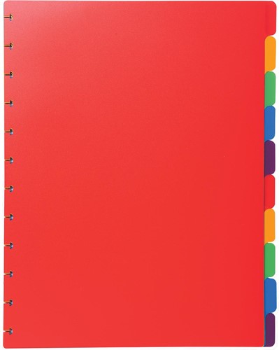 Exacompta intercalaires amovibles pour protège-documents avec anneaux, en PP coloré, 10 onglets