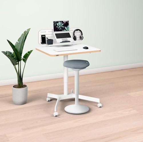 Leitz Ergo Station de travail Mobile, set avec organisateur et tabouret