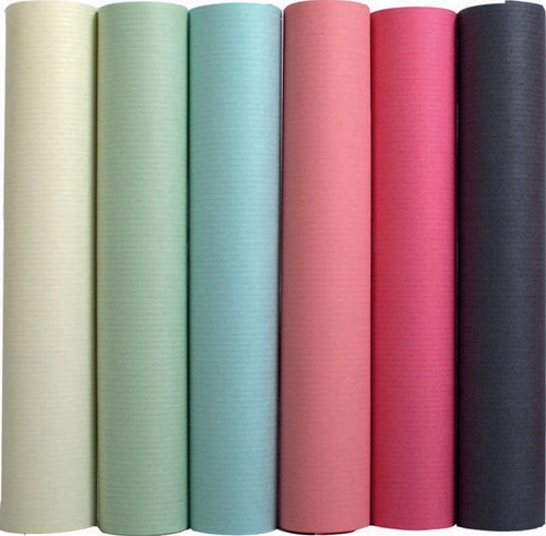 Exacompta papier d'emballage couleurs assorties pastel