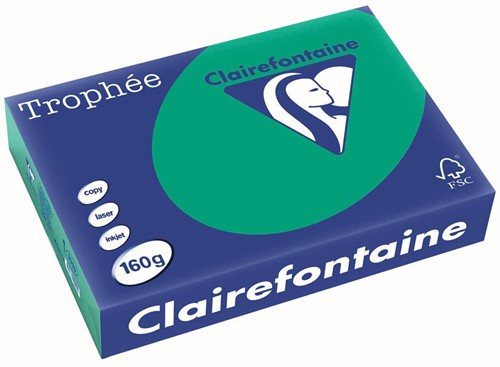 Clairefontaine Trophée Intens, papier couleur, A4, 160 g, 250 feuilles, vert sapin