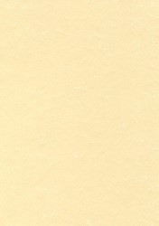 Decadry structuurpapier champagne, 165 g, pak van 50 vel